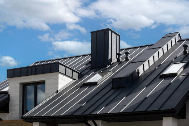 Best Skylight Installation and Repair  in Steele Creek, AK